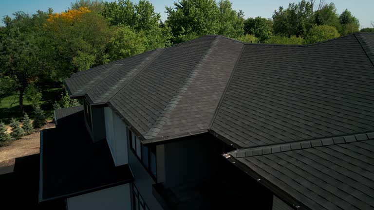 Best Steel Roofing  in Ridgeway, AK